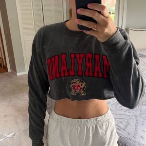Umd cropped tailgate sweatshirt